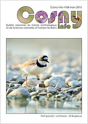 Cosny Info 68