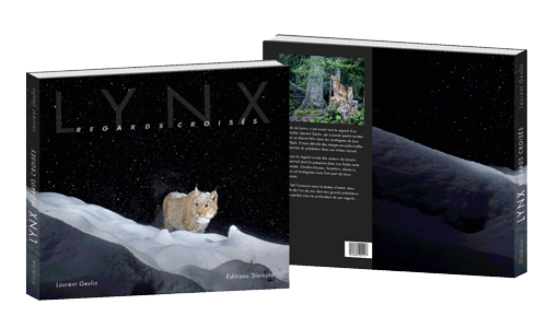 book-lynx-cover-3D