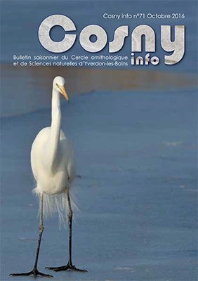 Cosny info 71